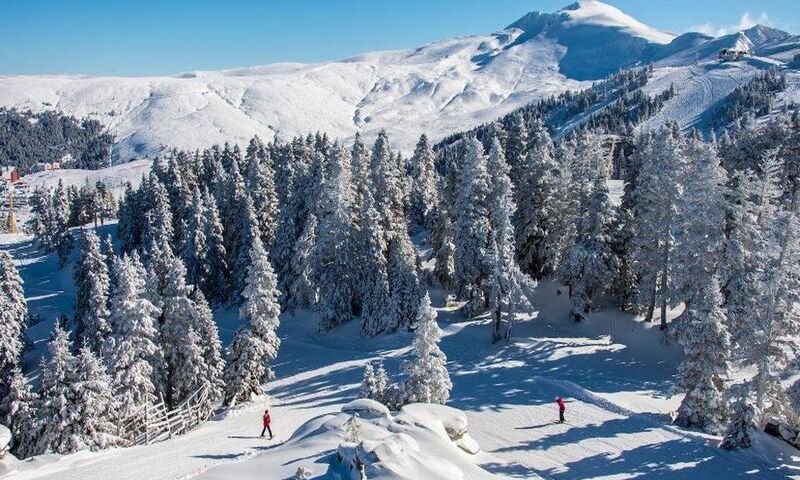 Oksijen Zone Hotels Uludag